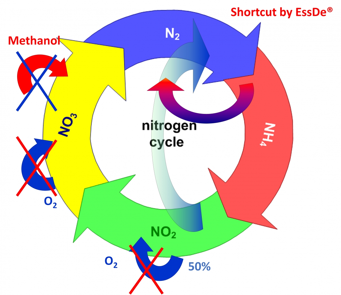 Deammonification process for nitrogen removal EssDe GmbH EssDe